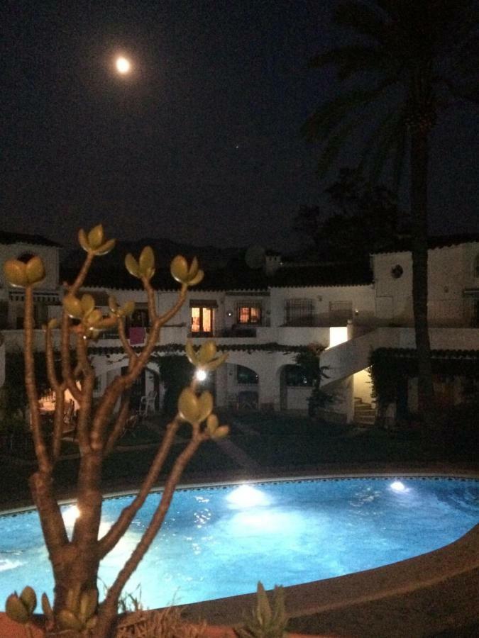 Apartment Oasis